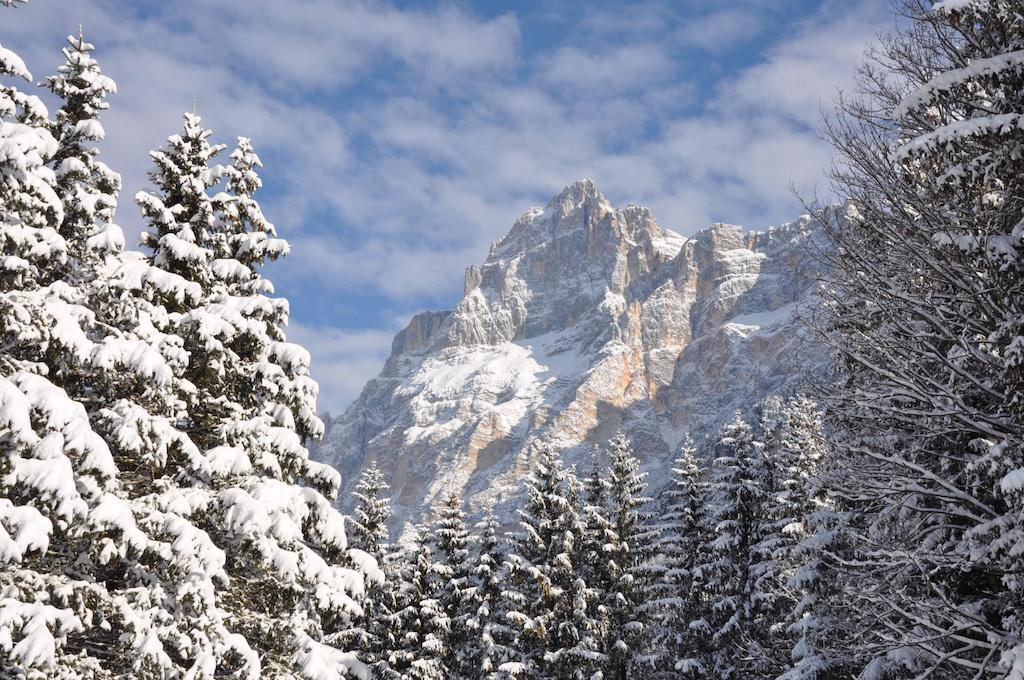 Hotel Roma San Vito di Cadore Eksteriør billede