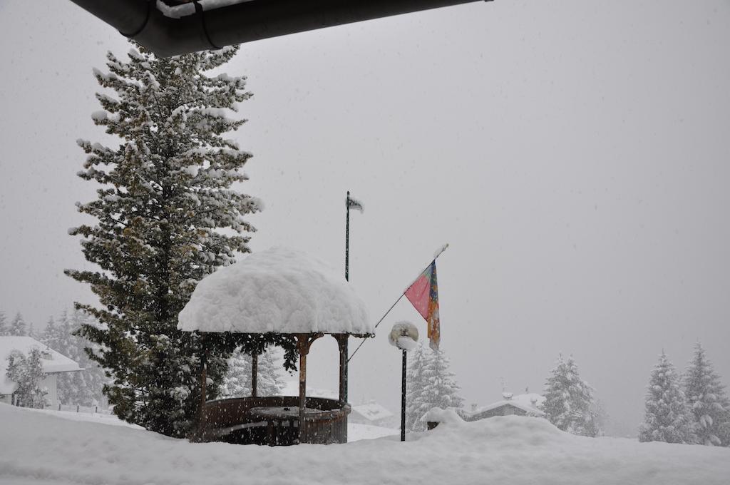 Hotel Roma San Vito di Cadore Eksteriør billede